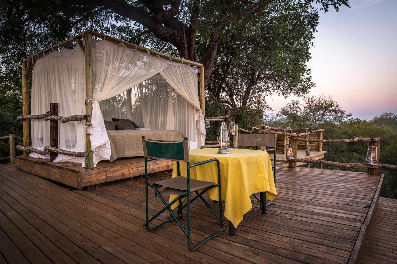 Garonga Safari Makalali Game Reserve Exterior foto